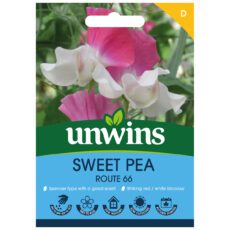 5051618038607 1 Sweet Pea Route 66 Seeds.jpg
